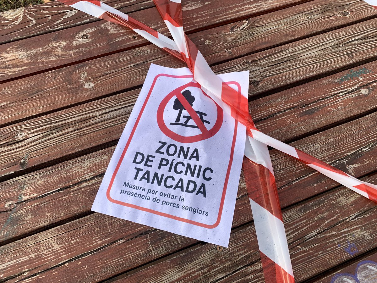 Un treballador ha trobat aquest matí  un senglar mort al campus de la <a href="/UABBarcelona/">Universitat Autònoma de Barcelona</a> Els agents rurals hauran de retirar l’animal amb els protocols de seguretat i una biòpsia determinarà si tenia la pesta porcina africana 
📢Escolta-ho catradio.cat/catinfo