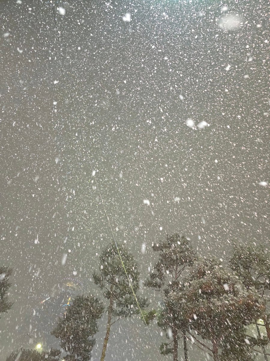 펑펑 눈이옵니다~ ❄️❄️
근데 너무 많이 오는데..?