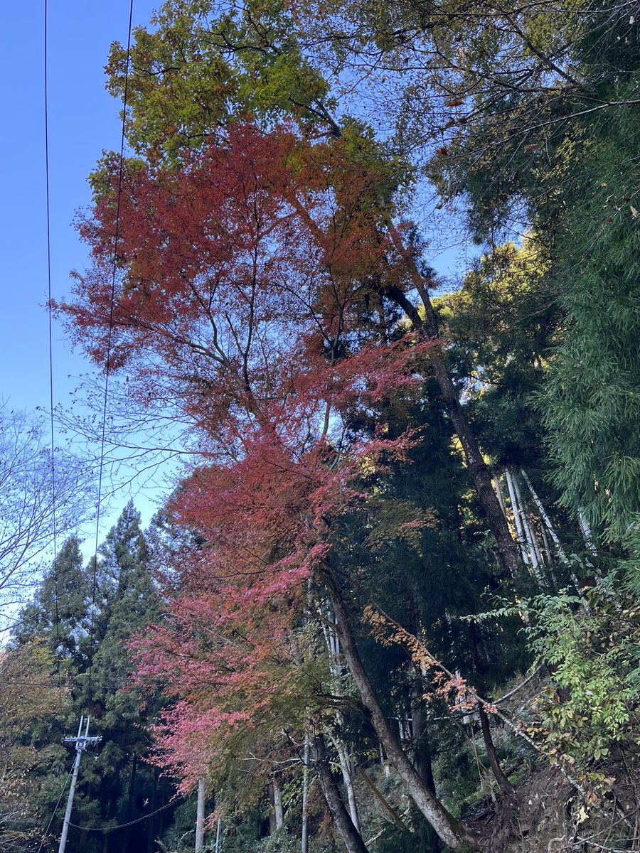 sora (@handmadesora) / Posts / X