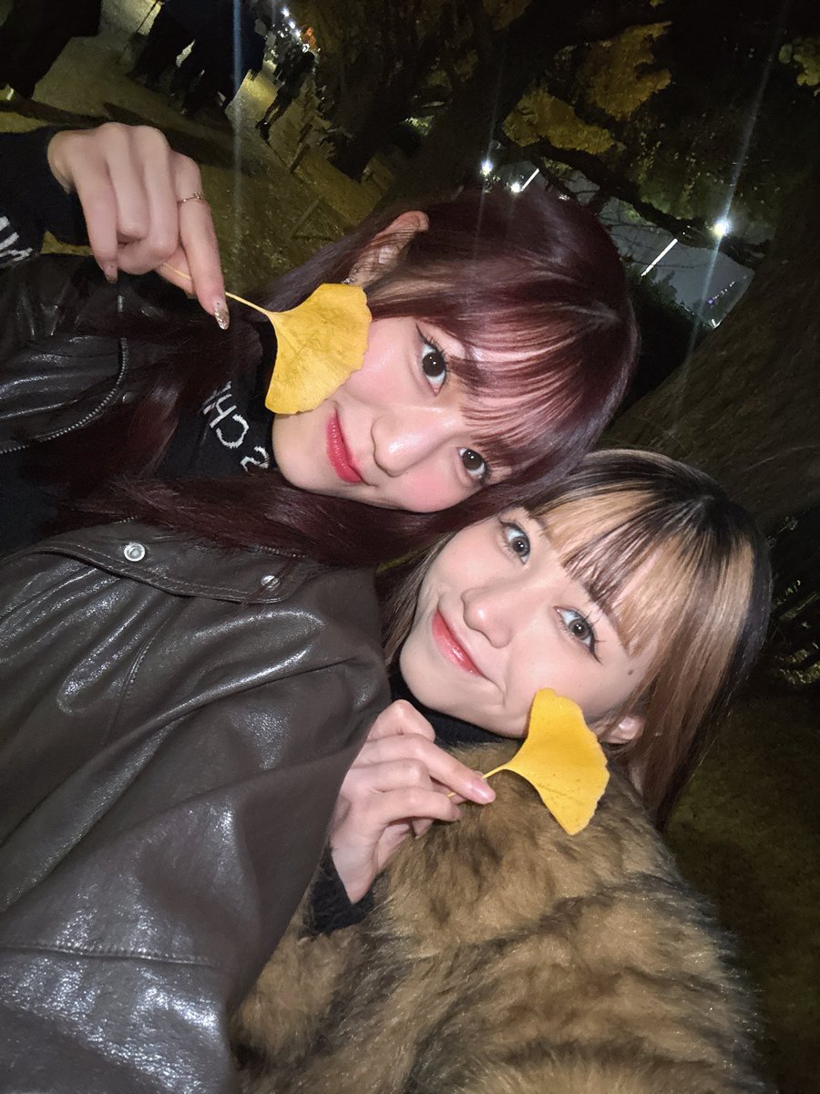 さくぱん (@DANSAKUU) / Posts / X