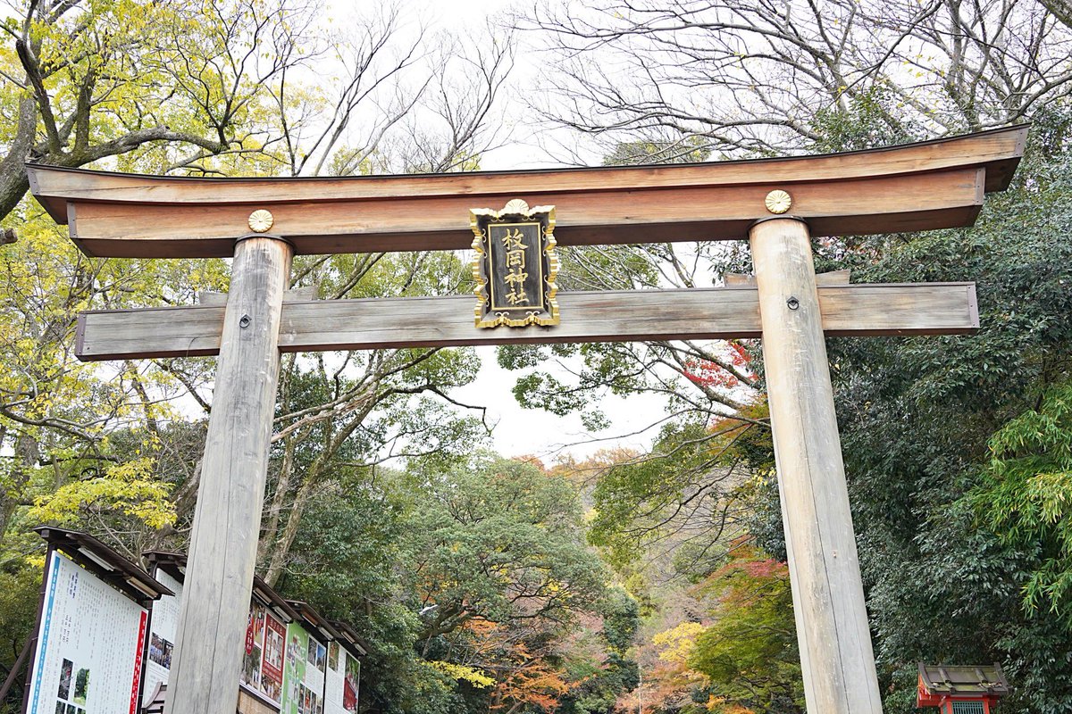 liners_players's tweet photo. 本日、枚岡神社にて2025-26シーズンの必勝祈願を執り行い、選手・スタッフが参加しました。

宮司様より、「Div.1で再び戦っている姿を見たい」と激励いただきました。

#花園近鉄ライナーズ
#WeAreLINERS
#TNT https://t.co/hFYsEbCJLS