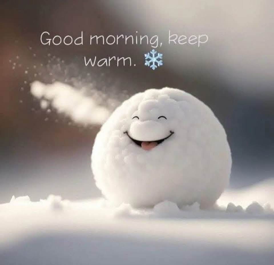 Maura 🍀🇺🇸🇮🇪🇲🇽 🌛🌝🌜💙 tweet media