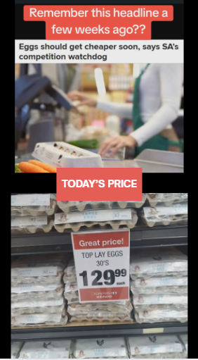 Clara_Rawley's tweet photo. Price of eggs going down not looking so promising....👀🇿🇦
#MadlangaCommission colombia https://t.co/AuaeMMoFAO