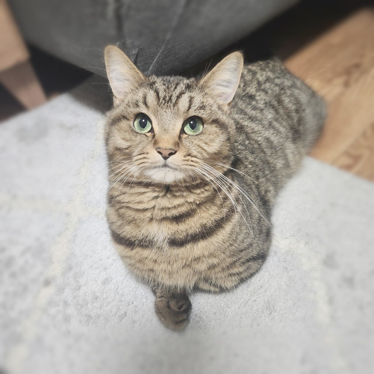 今夜は片手アルアル