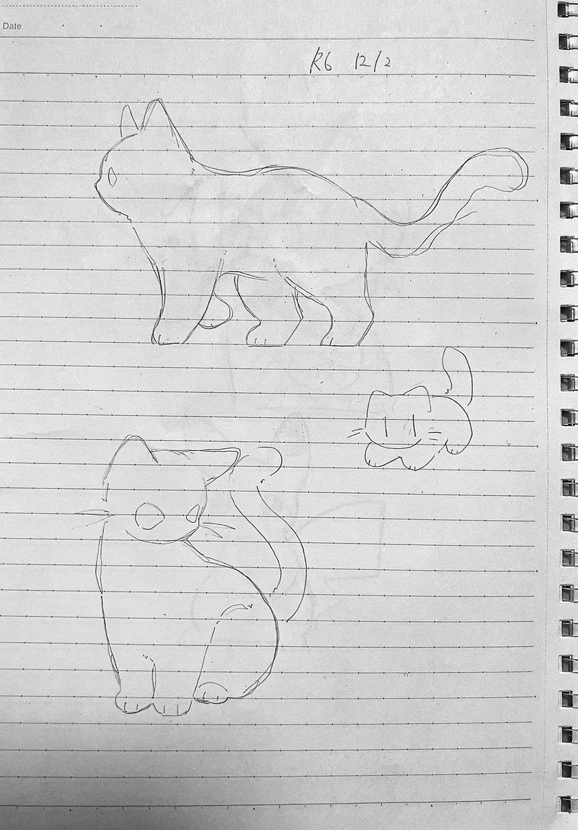 ねっこ (@nekkoneko1026) / Posts / X