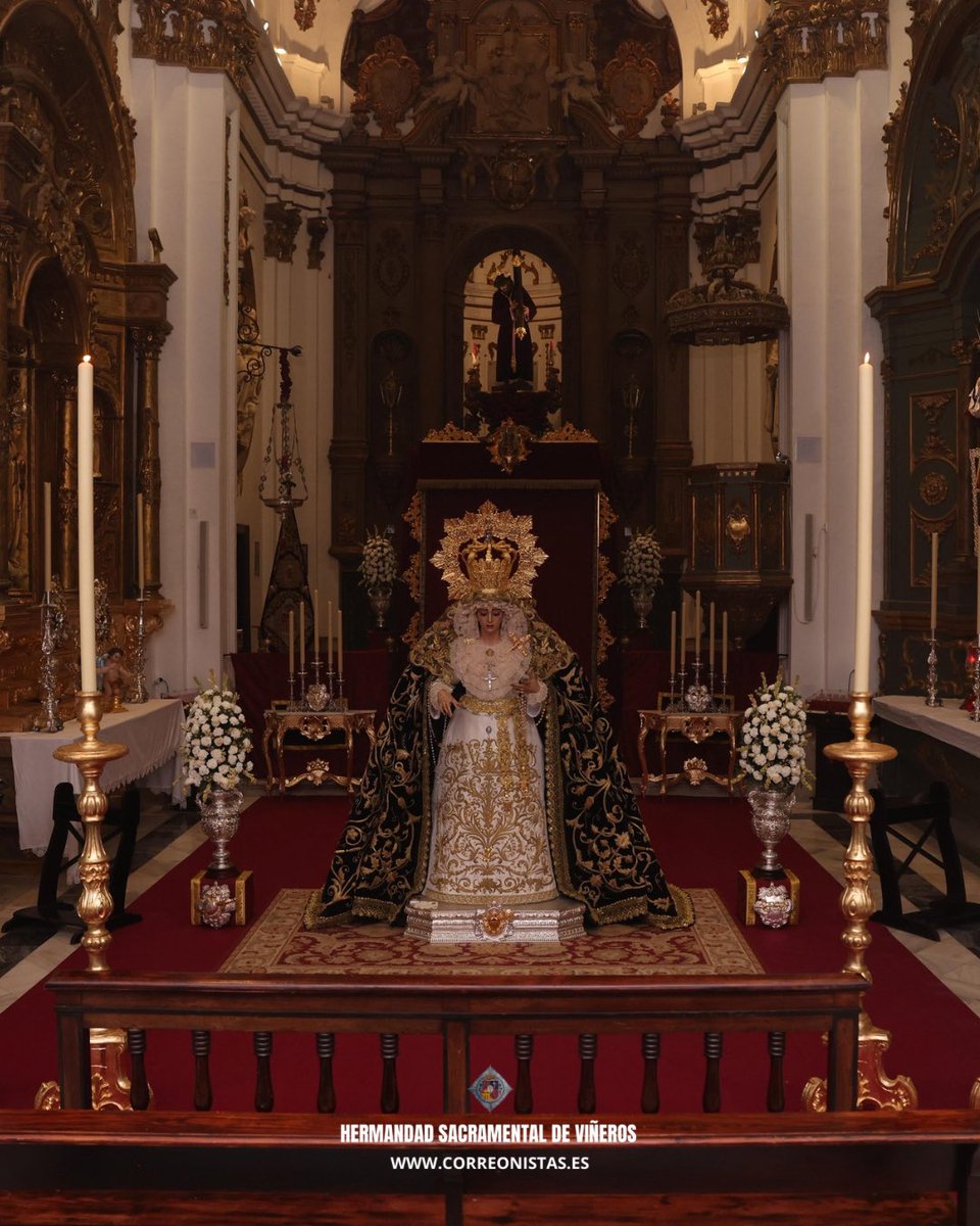 correonistas's tweet photo. 📣 Así se presenta Nuestra Señora del Traspaso y Soledad de Viñeros de cara a los cultos en su honor con motivo de la Solemnidad de la Inmaculada Concepción de María.

📸 @LMFotosCofrades 

#CofradíasMLG https://t.co/ceecieqJvc