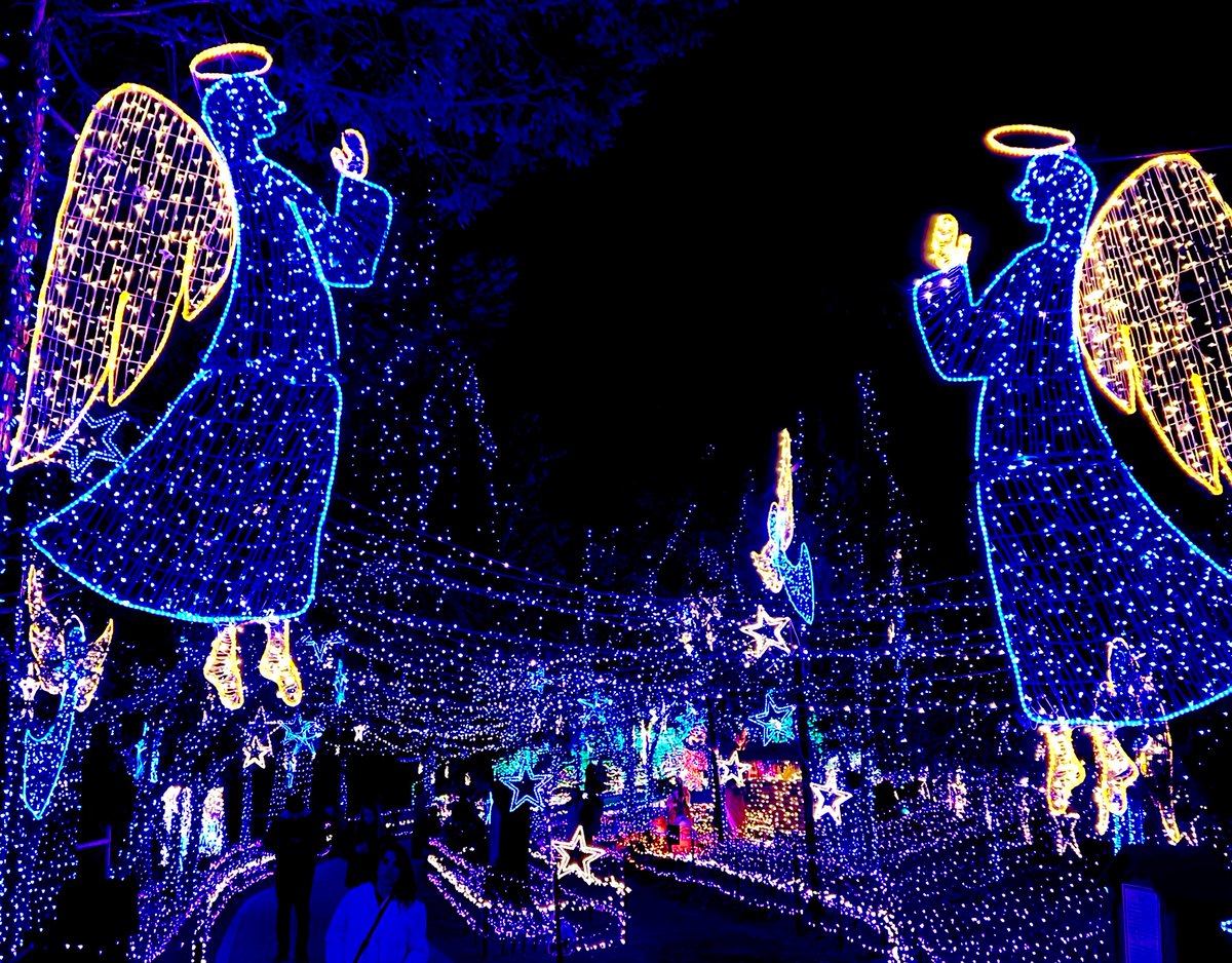 WildDevice's tweet image. Angels in the Night 
#nighttime #photograghy #Angels