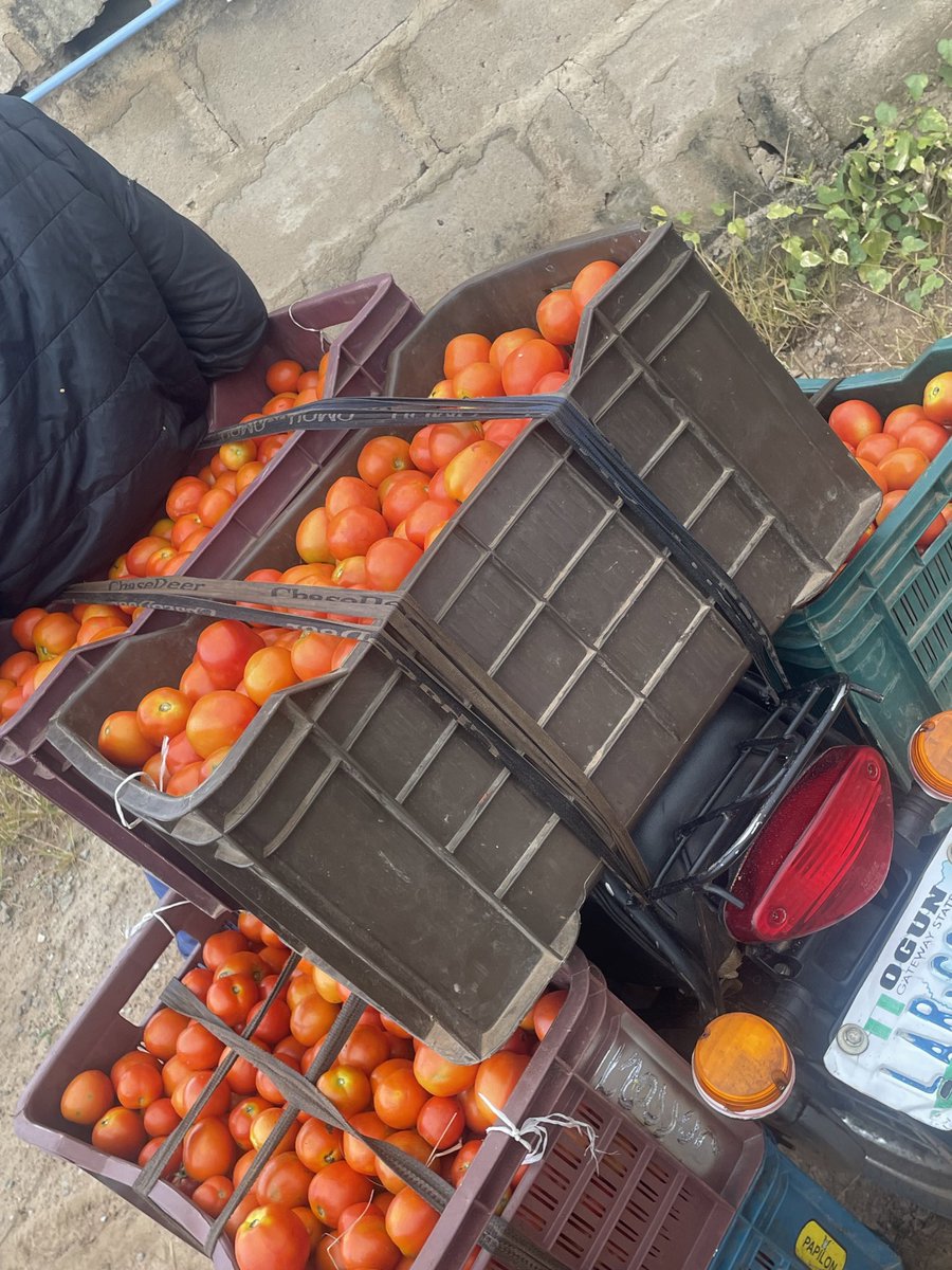 A better world tweet media