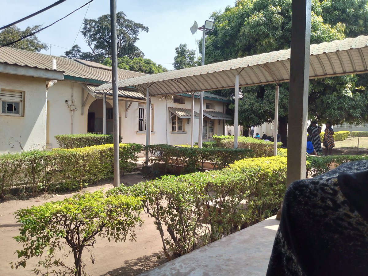 Timothy Eodu tweet media