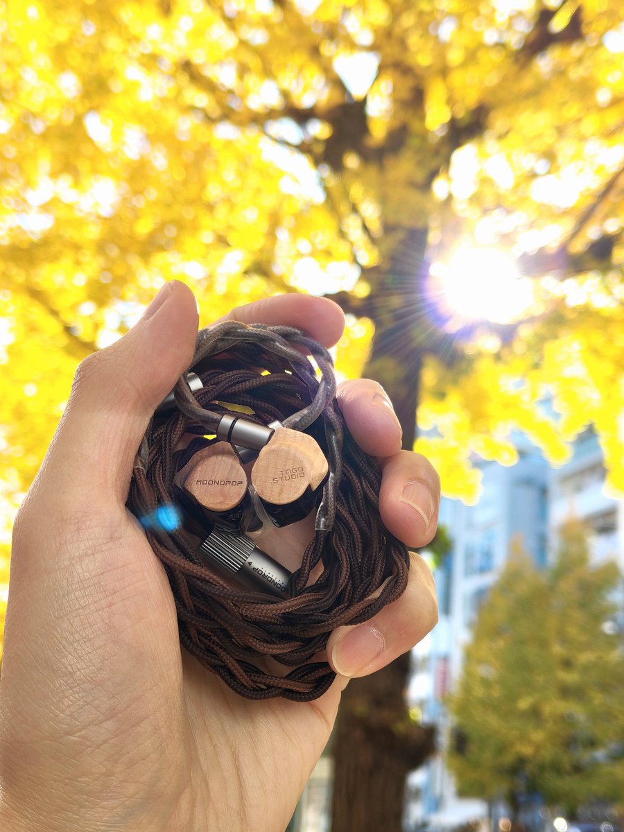 HARI.+ポタオデ=ハリポタ🎧🪄 (@Hodohiro_728) / Posts / X