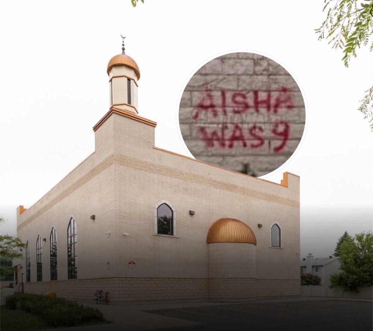 Dr. Maalouf tweet media