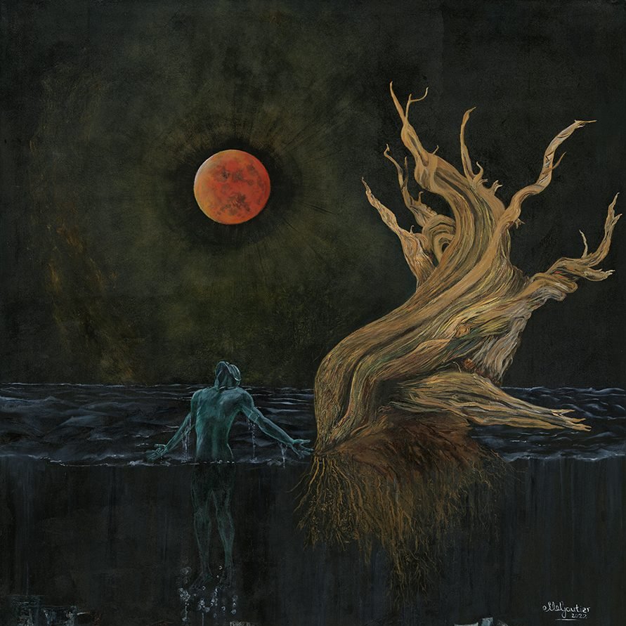 Transformations Community tweet media