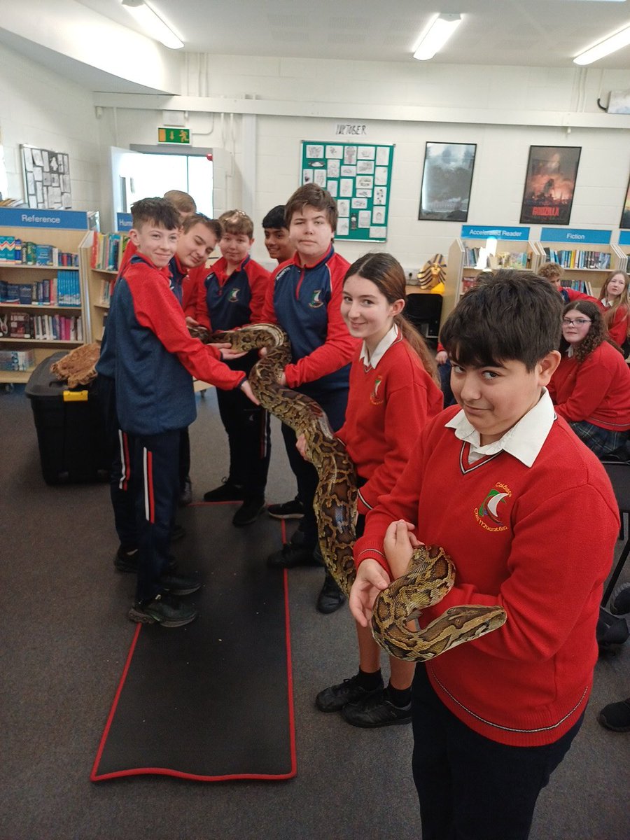 colchilmlib's tweet image. A lot of excitement in the library this morning as our JCSP students get to meet some of Dave&apos;s Jungle&apos;s exotic animals, organised as part of our JCSP Christmas celebrations. @jcsplibraries  @ccmwicklow