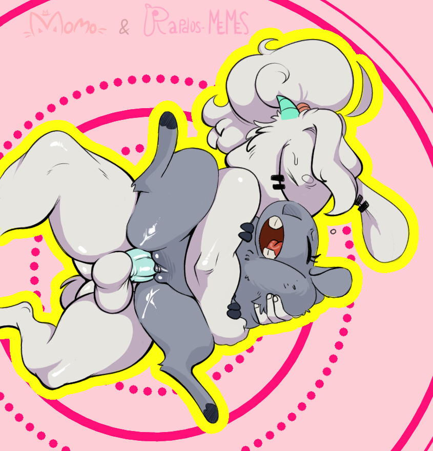 Momocat🔞 tweet media