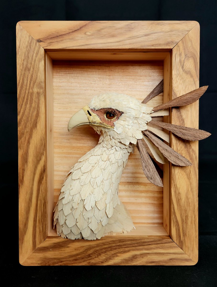 みーこ (@mikeeneko) / Posts / X