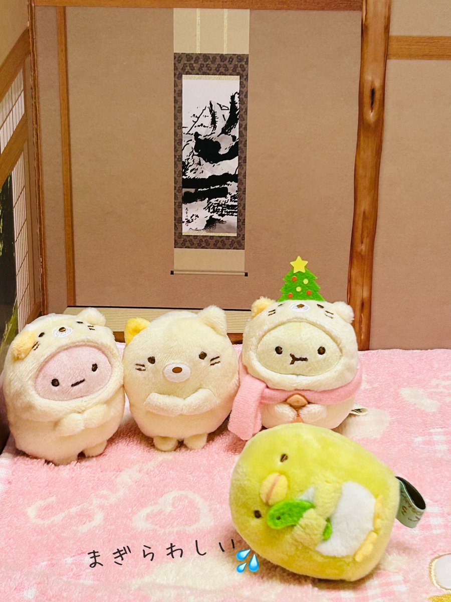 これはある意味ねこ３きょうだいでは？！