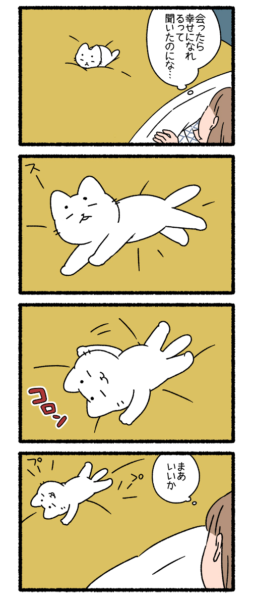 猫吉 (@nekokichi712) / Posts / X