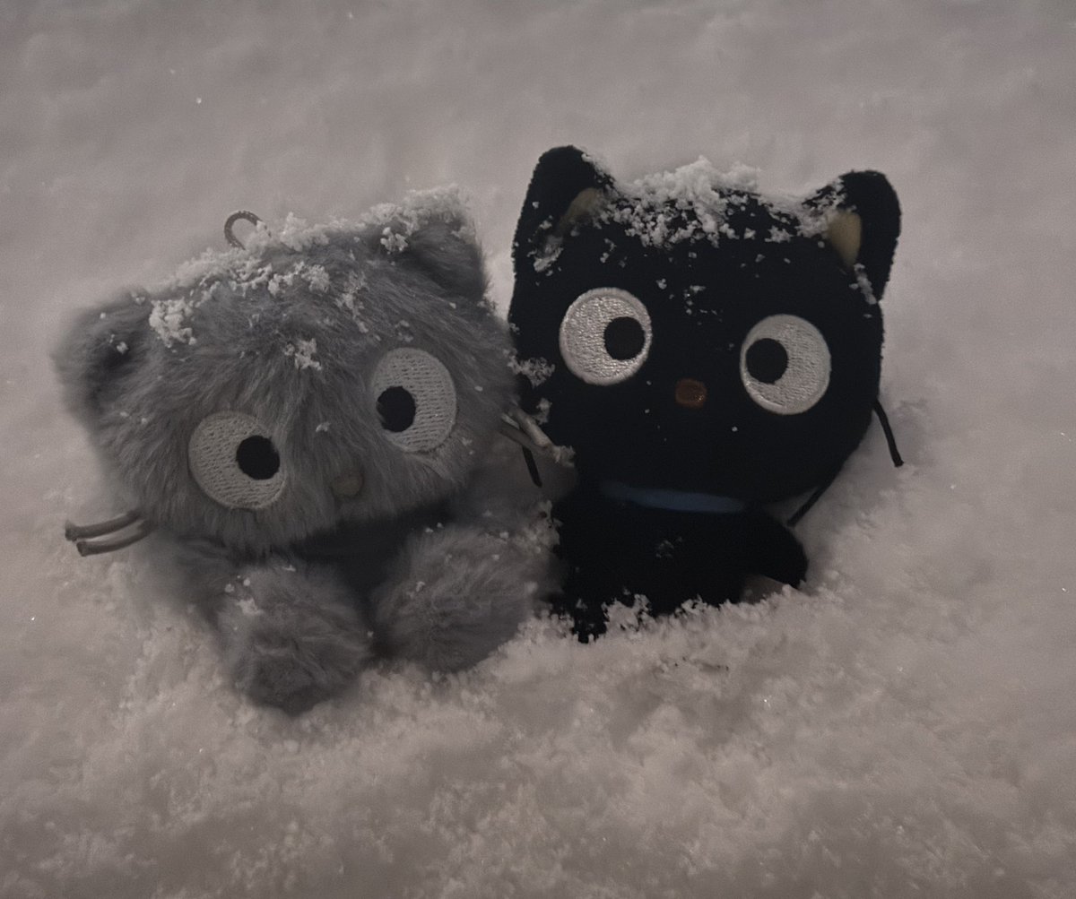 z (@_rxxkstar) on Twitter photo 