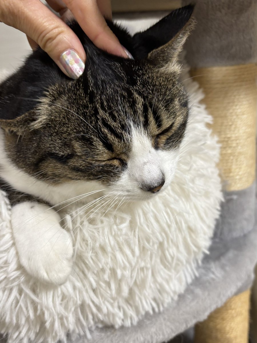 みふゆ(三冬) (@mifuyu_916) / Posts / X