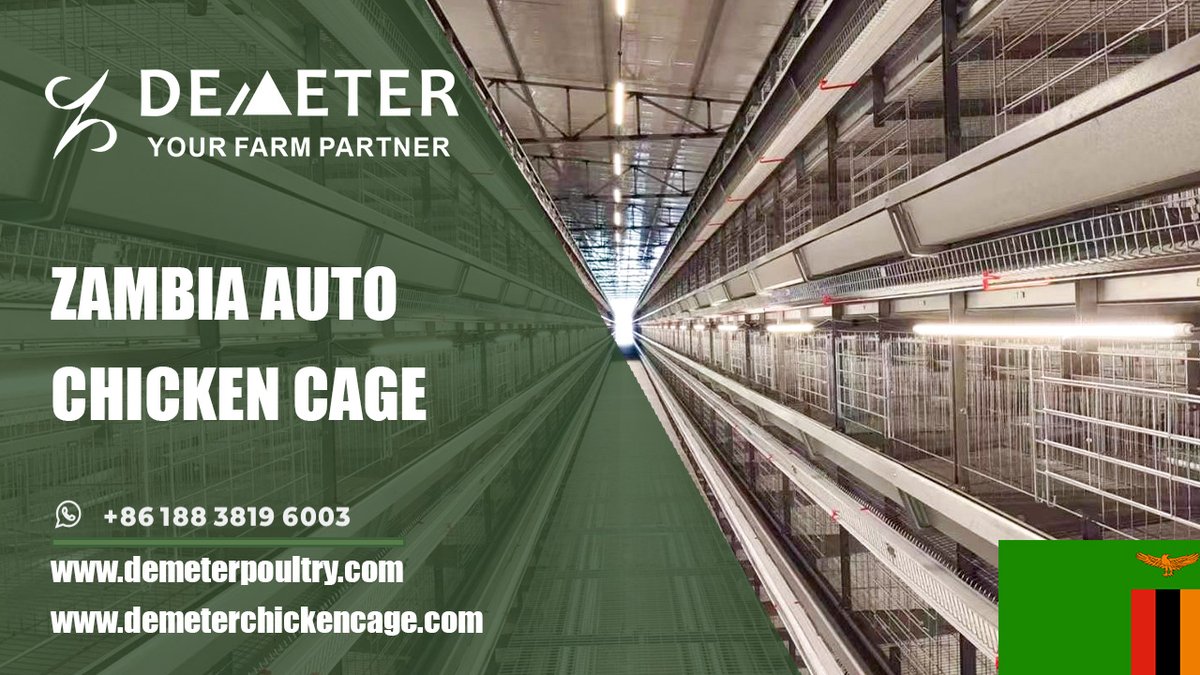 dmtchickencage's tweet image. Layer Chicken Cages in Zambia – Durable Galvanized Battery Cages Suppliers

Location: Livingstone, Zambia
Farm Situation: 50,000pcs layer chickens
Cage Type: H-type 4-tier layer chicken cage
Shed size: 108*15*4m
Life Span: 15-20 years
WhatsApp: +86 188 3819 6003
#chickencage