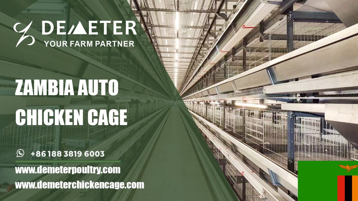 dmtchickencage's tweet image. Layer Chicken Cages in Zambia – Durable Galvanized Battery Cages Suppliers

Location: Livingstone, Zambia
Farm Situation: 50,000pcs layer chickens
Cage Type: H-type 4-tier layer chicken cage
Shed size: 108*15*4m
Life Span: 15-20 years
WhatsApp: +86 188 3819 6003
#chickencage