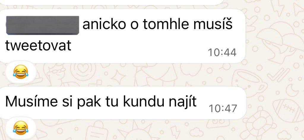 annierubyjane's tweet photo. mam prikaz tweetovat o scammerce z fakulty, ktera ma shodou okolnosti stejny jmeno jako kolegyne. prisel nam od sekretarky mail, abychom zaslaly svoje c. u., aby nam zaslali odmeny za vitezstvi v evaluacich a tato random jmenovkyne napsala, ze dekuje a poslala svoje c. u. 😭😭😭 https://t.co/np814e6RqR