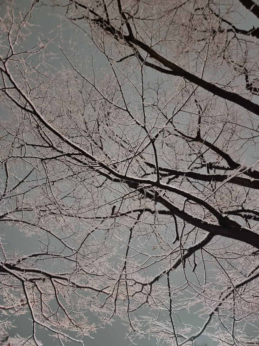 컄컄컄 (@12slyg08) on Twitter photo 