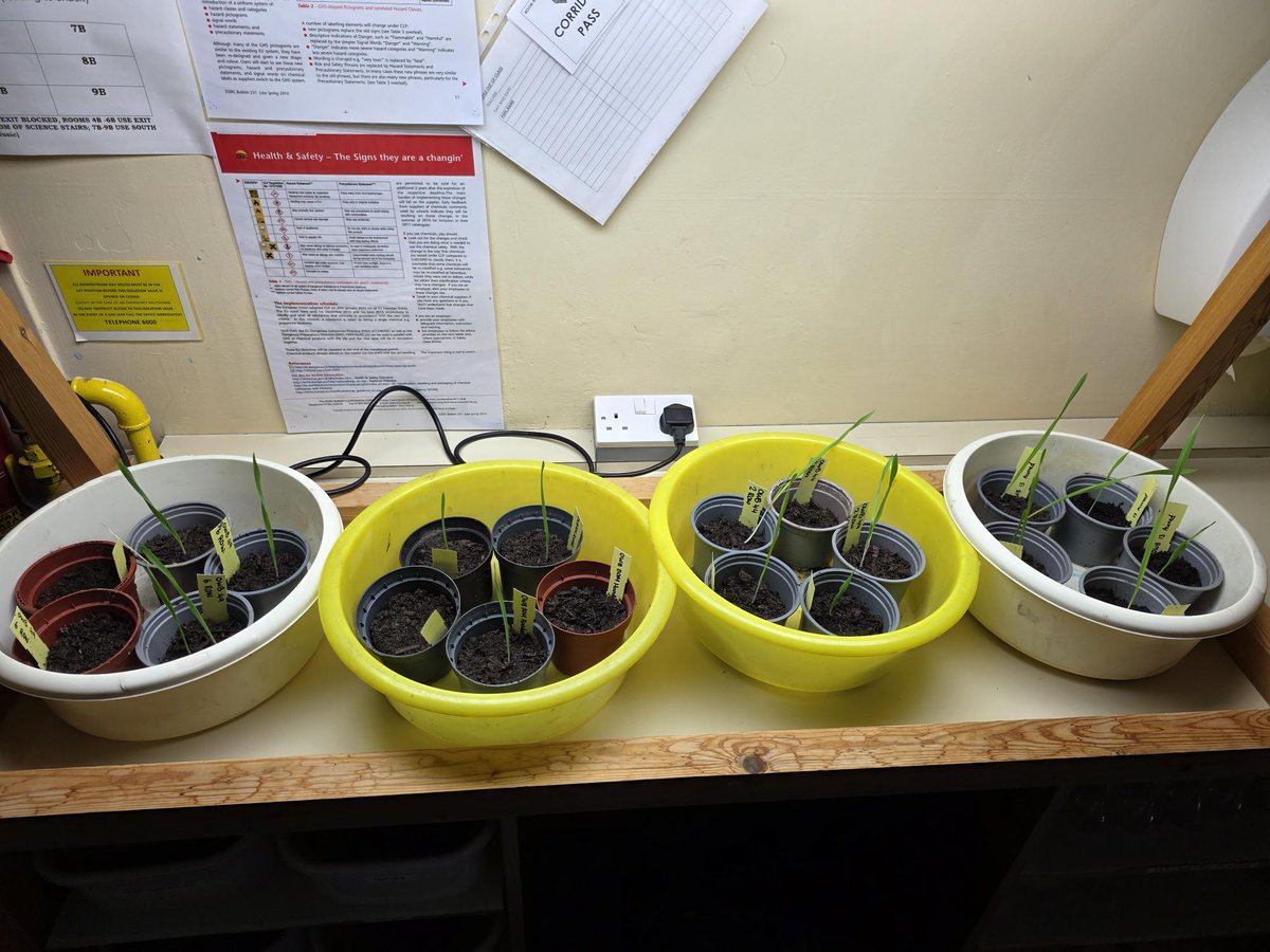 International Barley Hub tweet media