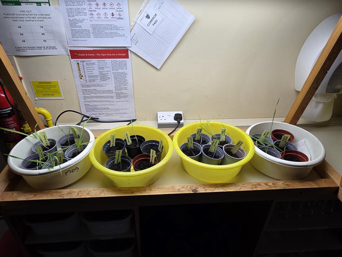 International Barley Hub tweet media