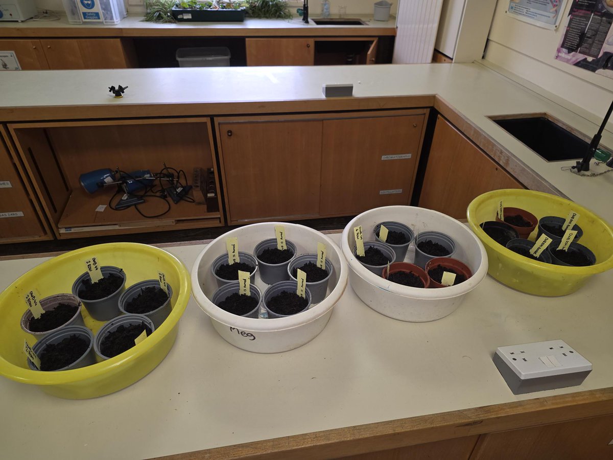 International Barley Hub tweet media