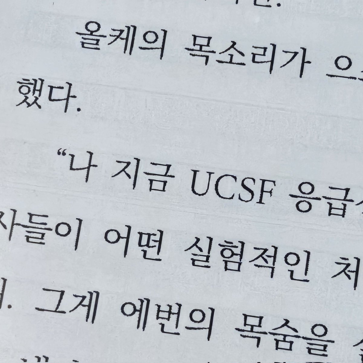 미국 에세이에 "올케"의 등장