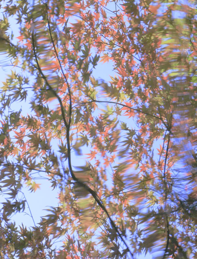 \[V}KWwRXfBAhbgR!!x:ŐV𐏎XV!!