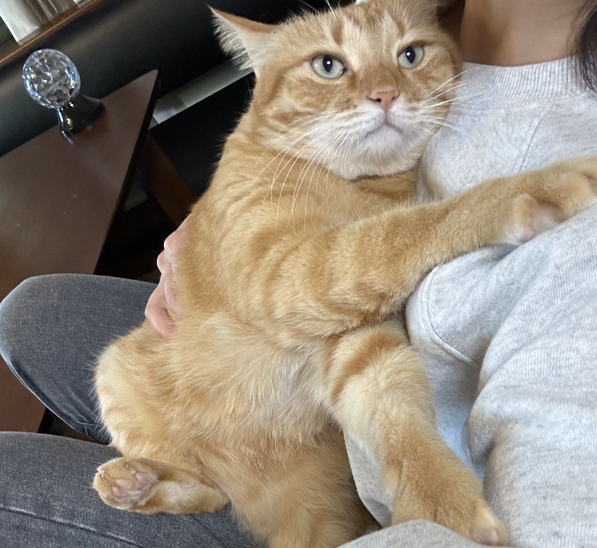 大きい赤ちゃん