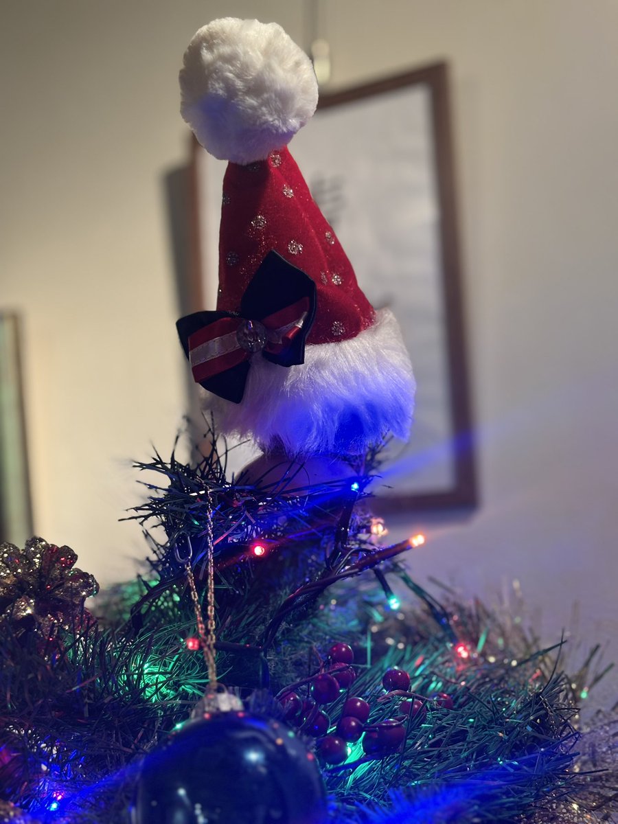 バロックちゃん、本日からクリスマスツリー🎄を飾ってますよ〜🎅
よく見るとフェティッシュな飾り付けになってます🎶先っぽのサンタ帽の中身は・・・ご来店の際に是非とも外してみてねー☺️✨