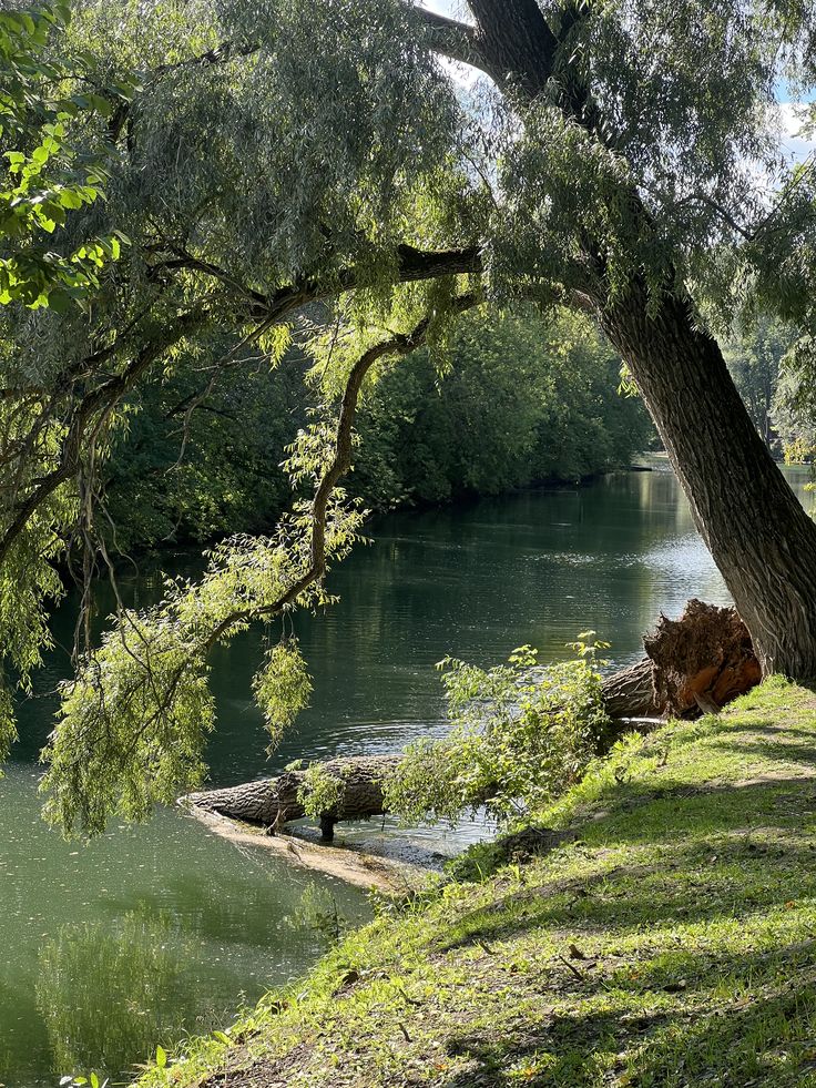 Wa-Bush (@bondzabby) on Twitter photo 