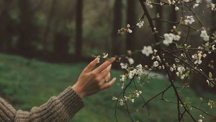 “Ah, göğsündeki her yarayı merhametle Öptüğüm..
Geç kalınan hiçbir hayat,
hayat değildir.
Hayatın olmayı dilerdim.”