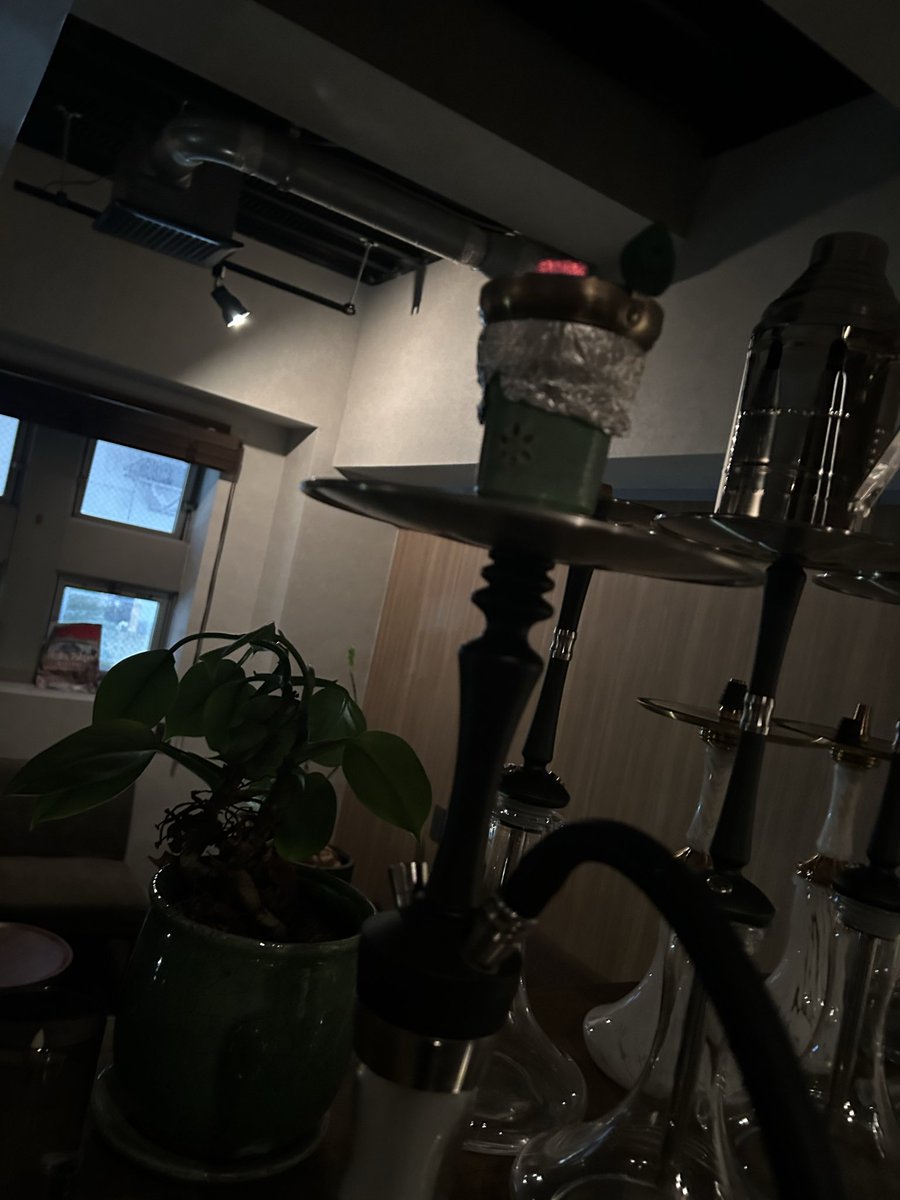 AL FAKHER  グレープフルーツ🍊 単品

Solarisストレートボウル
アマボースト
22mmキューブ3つ
風防あり5分蒸らし
風防なし吸い出し

安定してきてよき。

 #シーシャ