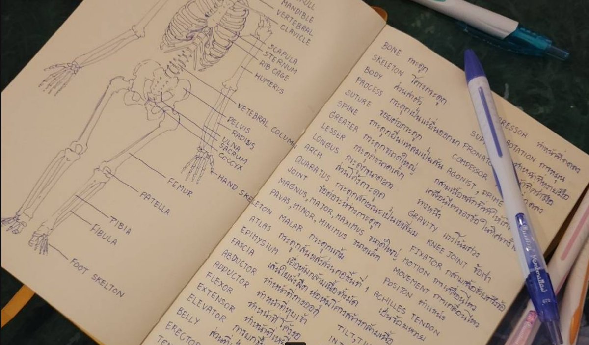 k_koze21's tweet image. เลคเชอร์วิชาอนาโตมี่วันนี้✨️ กับปากกาเส้นเล็ก 0.29 ในตำนาน