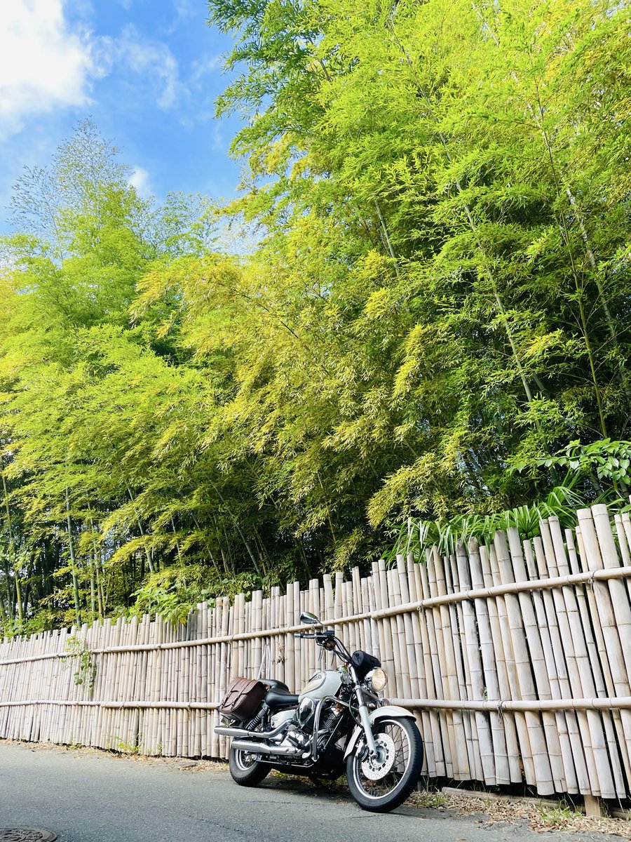 みっちゃんZX-14R (@ym025) / Posts / X