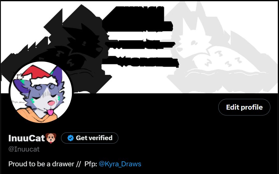 InuuCat🐶 tweet media