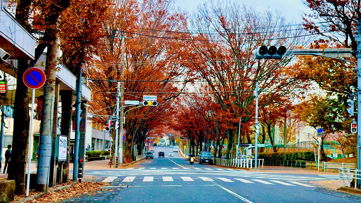 newcamplabo's tweet photo. 怒られない船橋市の出張ペーパードライバー講習
キャンペーン180分コースのご受講🛻教習所のペーパードライバー講習を数回受講されていらしたお客様。教習車の運転席回りの再確認から始め基礎走行の実践、目的地までの往復走行と基���駐車の操作手順をご指導させて頂きました😌基礎走行や幹線道路での走行は安定した走行で安心���がありました！次回ご予約の際は自宅付近のシェアカー発着地の入出庫と基礎駐車やシーン毎の駐車練習をご指導予定です。@moroccoya_com
.⋆*⋆𓏸 北習志野駅駅 習志野駅 日大前駅  .⋆*⋆𓏸
#ペーパードライバー講習 #船橋市習志野台