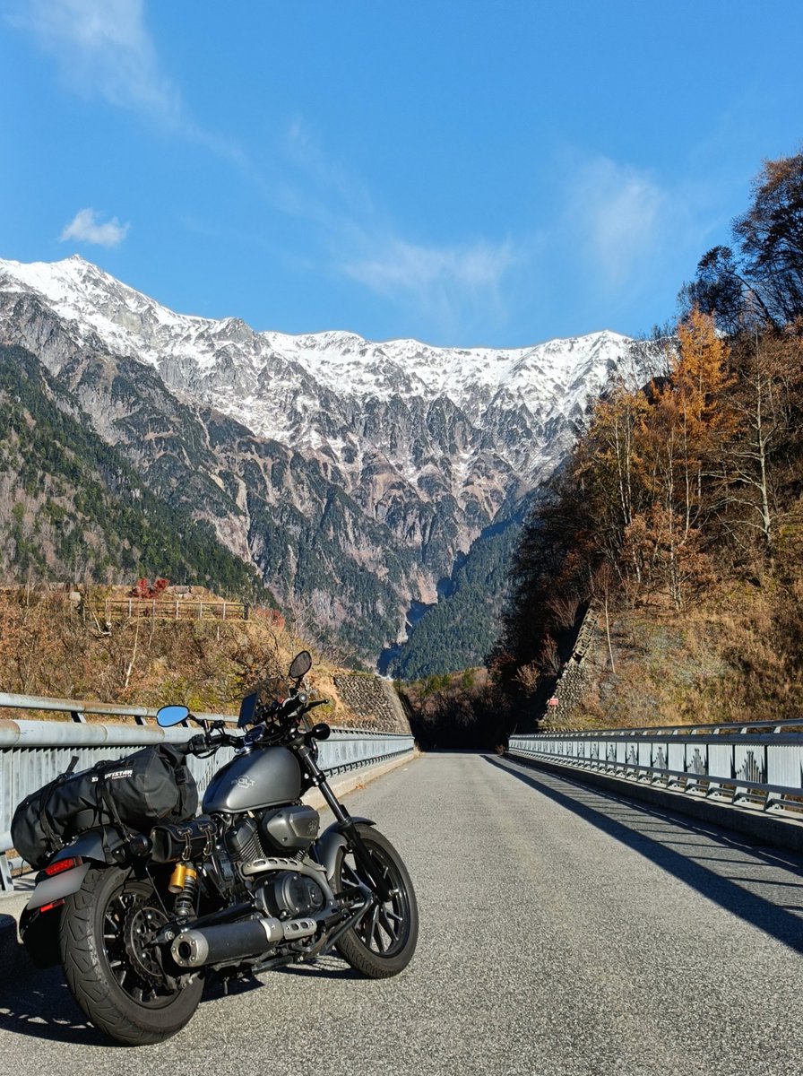 まめto𝑩𝑶𝑳𝑻 tweet media