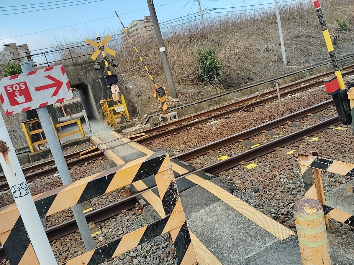 踏ん張り方を見習い中 踏ん張り方を見習い中