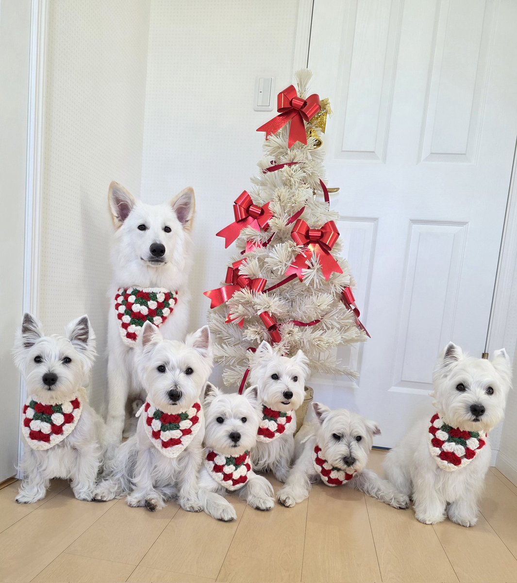 コーラス隊のお友達おーちゃんママ手編みのバンダナ🧶クリスマスカラーで可愛い✨🎄✨