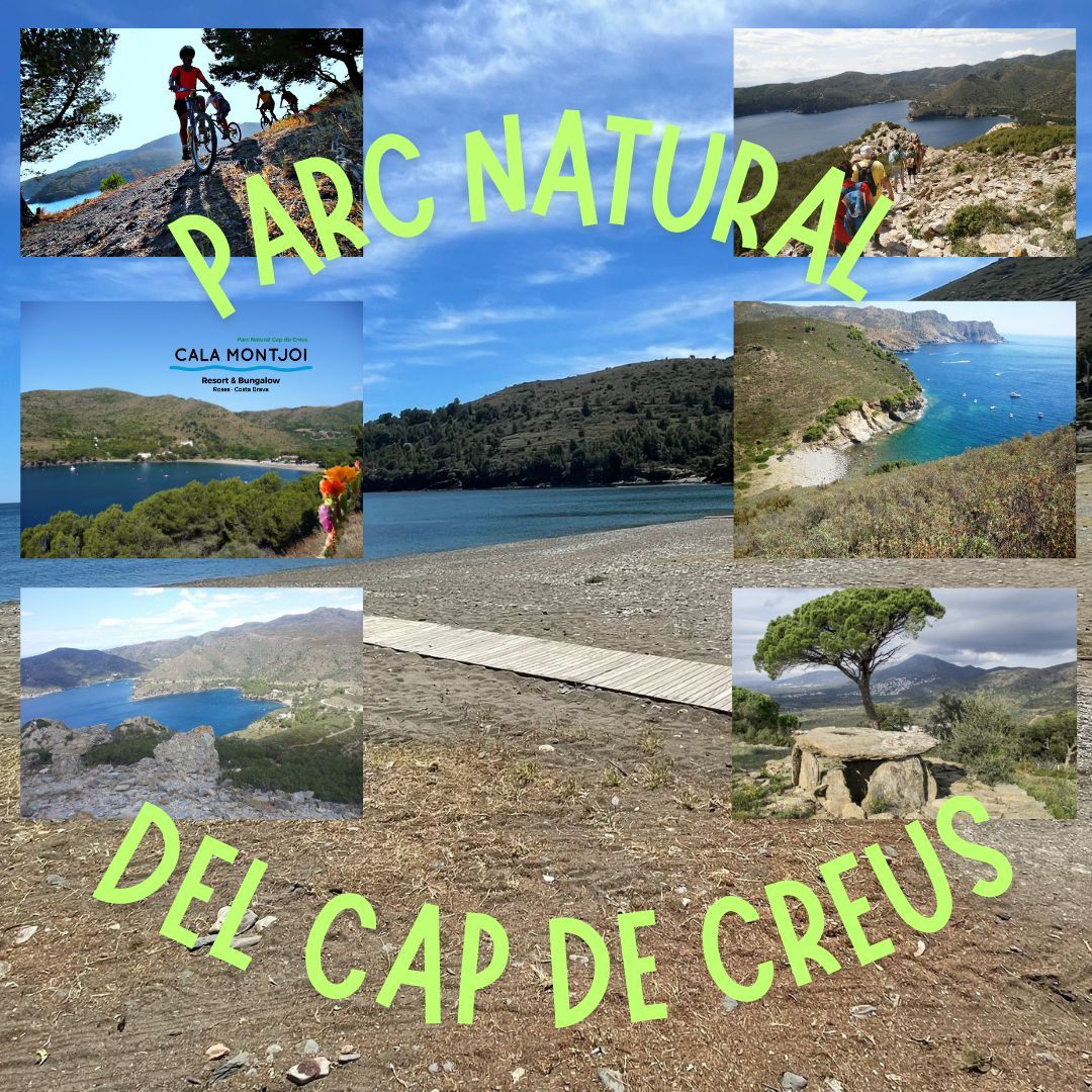 calamontjoi's tweet photo. Aprofita aquest cap de setmana llarg per descobrir la bellesa del Parc Natural en aquesta època de l'any i l'entorn màgic de Cala Montjoi. Profitez de ce long week-end pour découvrir la beauté du parc naturel à cette période et le cadre magique qui entoure Cala Montjoi. https://t.co/2aBOWzzFRU