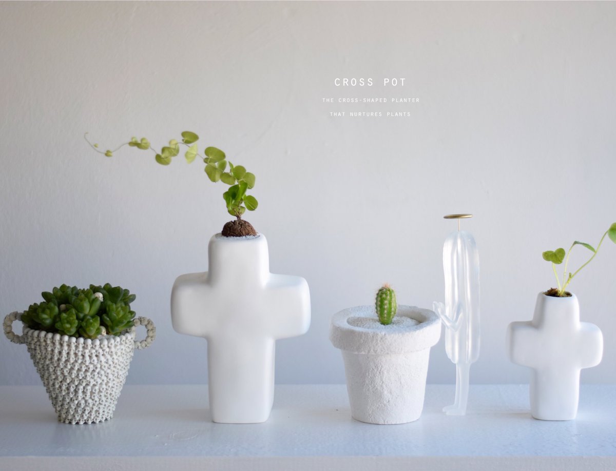 echidna 花瓶 頭蓋骨 echidna 花瓶 頭蓋骨 echidna 花瓶 頭蓋骨