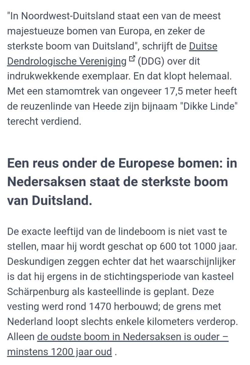 smeerlingantiek's tweet photo. De dikke #lindeboom in #Heede vlak over de grens bij Bourtange is de dikste boom van #Europa.
Heede ligt in Duitsland. https://t.co/MA0mmXKSMg