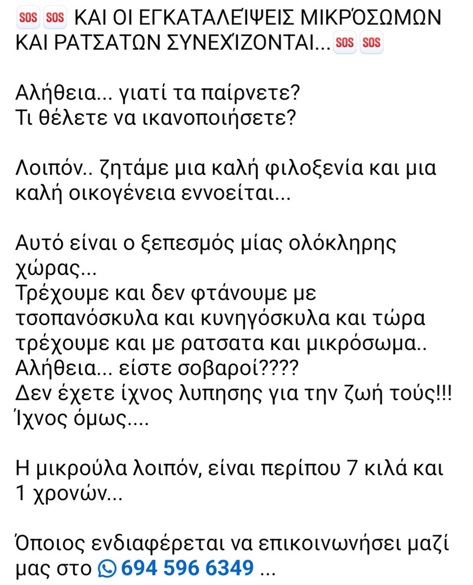 KatKatPt's tweet image. 🆘️🆘️🆘️
Ακόμα μια εγκατάλειψη μικροσωμου ρατσατου 
Το κορίτσι είναι 1 έτους κ περίπου 7 κιλά 
Αναζητείται φιλοξενία ή ακόμα καλύτερα υιοθεσία 
Για περισσότερες πληροφορίες επικοινωνία με το τηλ
Rt 🙏 🙏 🙏