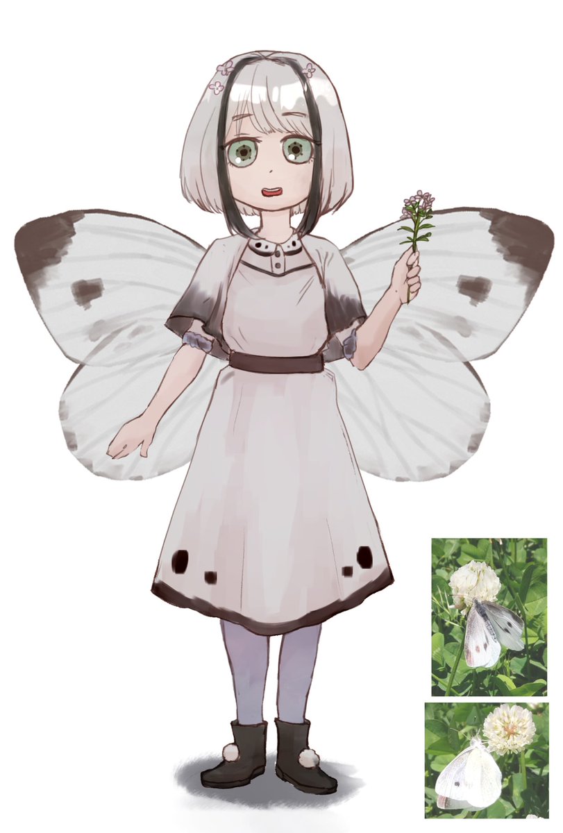 蛾と蝶のキャラ！
 #あなたのお宅の人外さん見せてくれないか