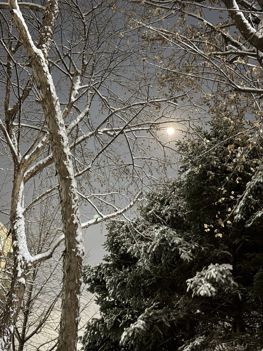 눈이 그치고 밤!하늘엔
둥근달이 밝게 비추고 있다.